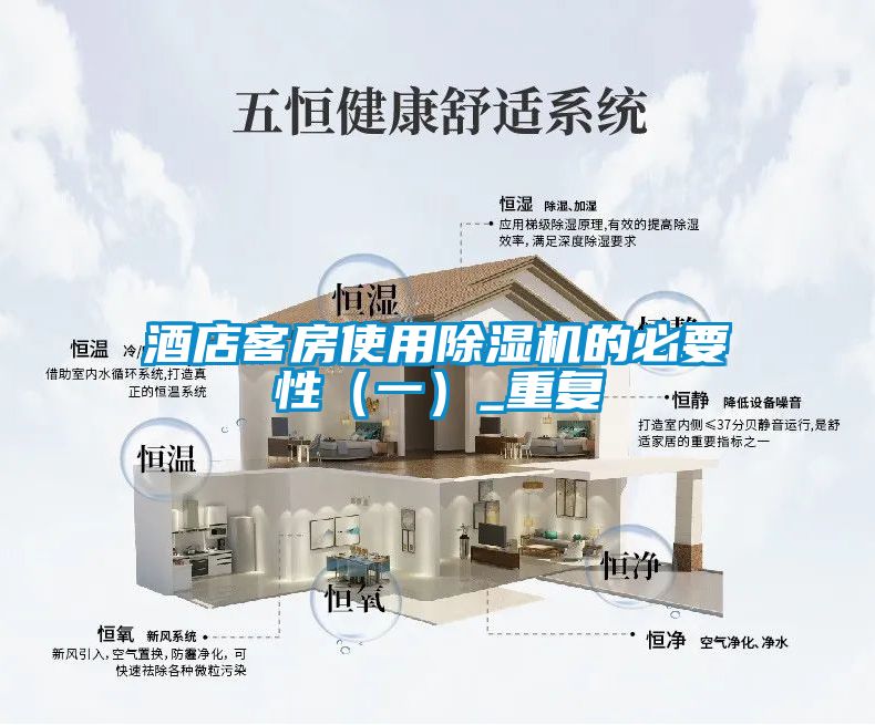 酒店客房使用除湿机的必要性（一）_重复
