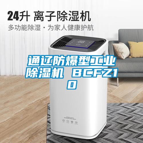 通辽防爆型工业除湿机 BCFZ10