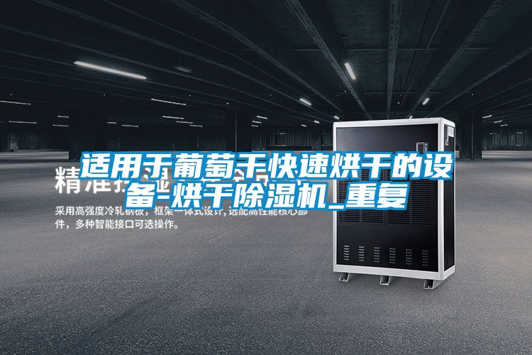 适用于葡萄干快速烘干的设备-烘干除湿机_重复