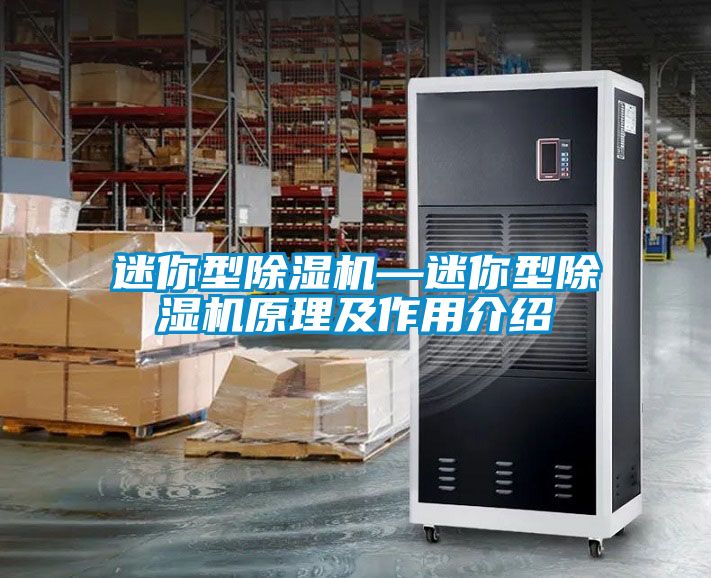 迷你型除湿机—迷你型除湿机原理及作用介绍