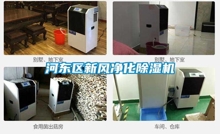 河东区新风净化除湿机