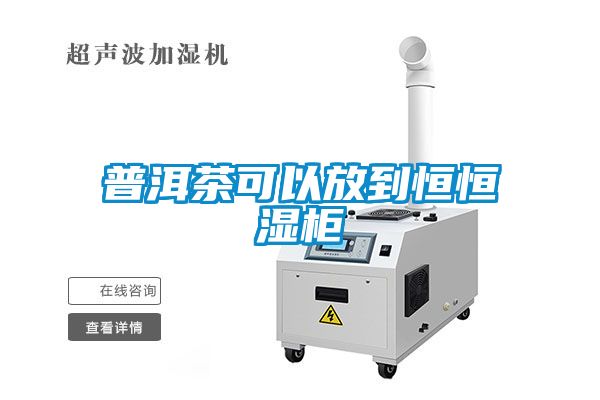 普洱茶可以放到恒恒湿柜