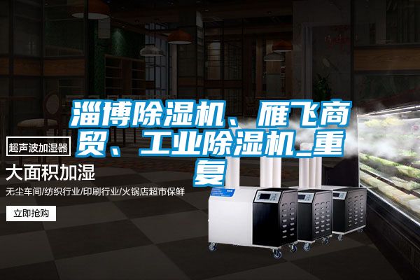 淄博除湿机、雁飞商贸、工业除湿机_重复
