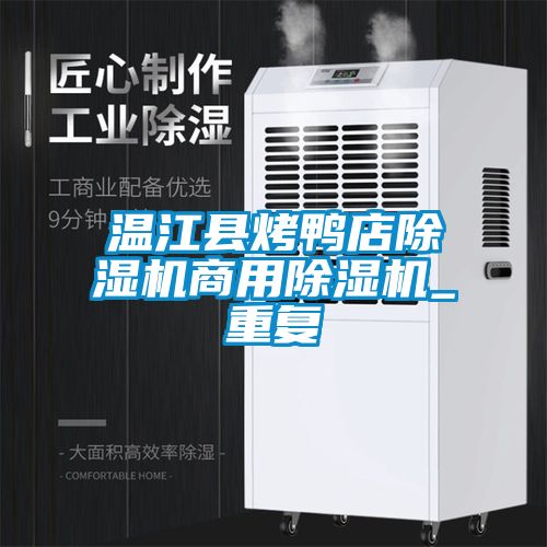 温江县烤鸭店除湿机商用除湿机_重复