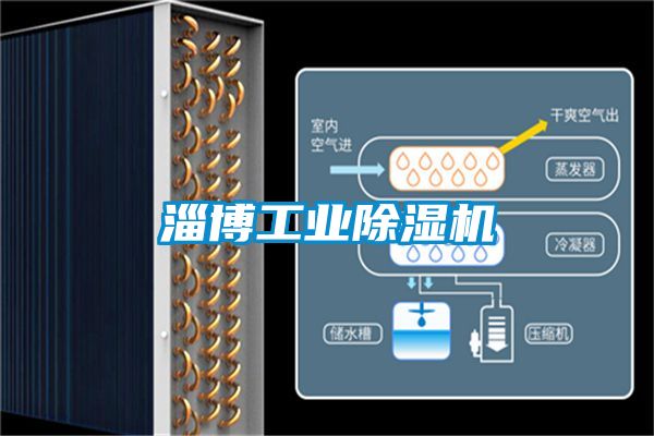 淄博工业除湿机