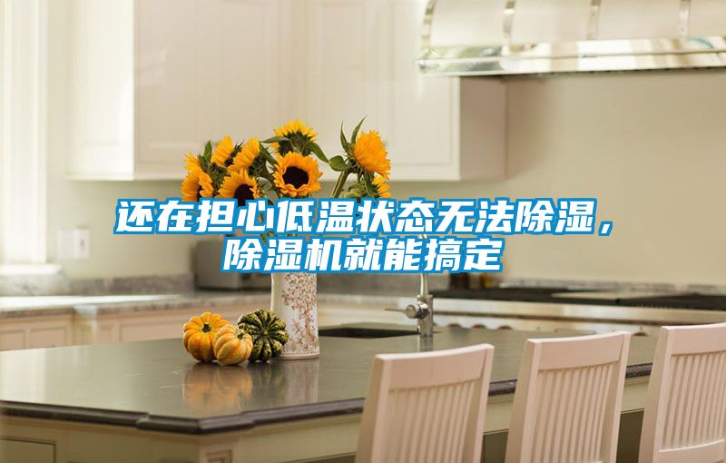 还在担心低温状态无法除湿，除湿机就能搞定