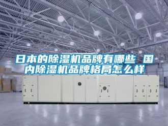 企业动态日本的除湿机品牌有哪些 国内除湿机品牌格局怎么样