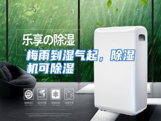 行业资讯梅雨到湿气起，除湿机可除湿