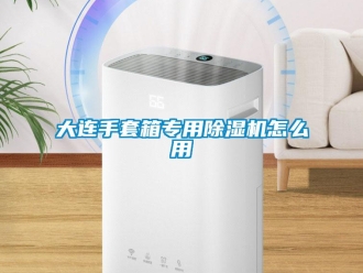 行业资讯大连手套箱专用除湿机怎么用