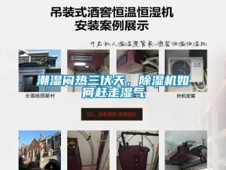 企业动态潮湿闷热三伏天，除湿机如何赶走湿气