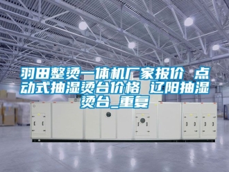 企业动态羽田整烫一体机厂家报价 点动式抽湿烫台价格 辽阳抽湿烫台_重复