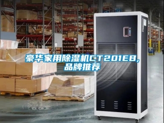 企业动态豪华家用除湿机CT201EB,品牌推荐