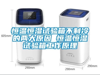 知识百科恒温恒湿试验箱不制冷的两大原因 恒温恒湿试验箱工作原理