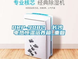 常见问题DRP-9082  长沙 电热恒温培养箱_重复