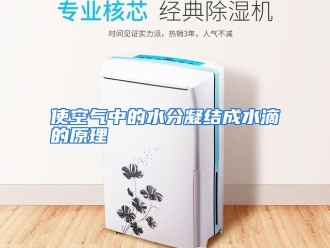 行业资讯使空气中的水分凝结成水滴的原理