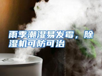常见问题雨季潮湿易发霉，除湿机可防可治