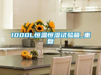 常见问题1000L恒温恒湿试验箱_重复