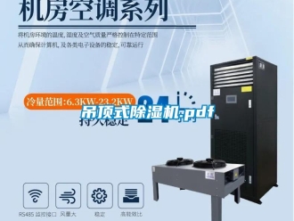 行业资讯吊顶式除湿机.pdf