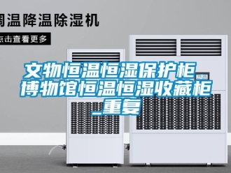 知识百科文物恒温恒湿保护柜 博物馆恒温恒湿收藏柜_重复