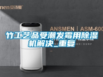 行业资讯竹工艺品受潮发霉用除湿机解决_重复