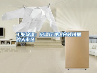 行业资讯工业除湿：空调行业细分领域里的大市场