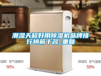 企业动态潮湿天超好用除湿机品牌排行榜前十名_重复