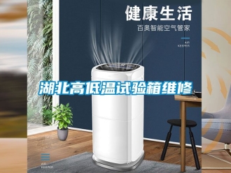 常见问题湖北高低温试验箱维修