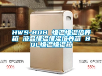 常见问题HWS-80B 恒温恒湿培养箱 液晶恒温恒湿培养箱 80L恒温恒湿箱
