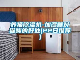 行业资讯养猫除湿机-加湿器对猫咪的好处(22日推荐)