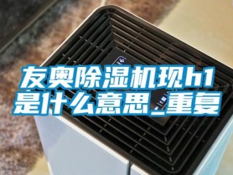 行业资讯友奥除湿机现h1是什么意思_重复