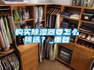 行业资讯购买除湿器要怎么挑选？_重复