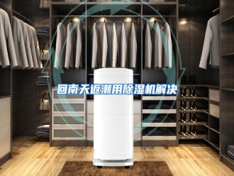 知识百科回南天返潮用除湿机解决