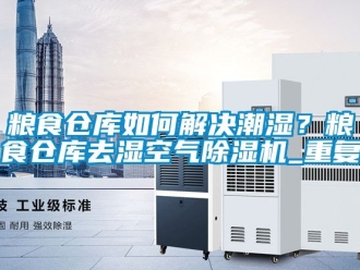 企业动态粮食仓库如何解决潮湿？粮食仓库去湿空气除湿机_重复