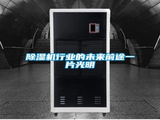 行业资讯除湿机行业的未来前途一片光明