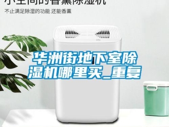 行业资讯华洲街地下室除湿机哪里买_重复