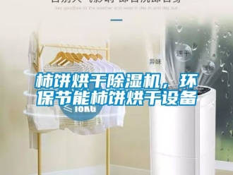 行业资讯柿饼烘干除湿机，环保节能柿饼烘干设备