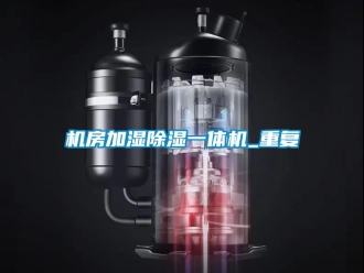 行业资讯机房加湿除湿一体机_重复