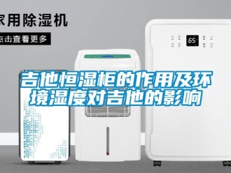知识百科吉他恒湿柜的作用及环境湿度对吉他的影响