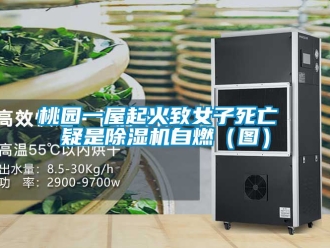 行业资讯桃园一屋起火致女子死亡 疑是除湿机自燃（图）