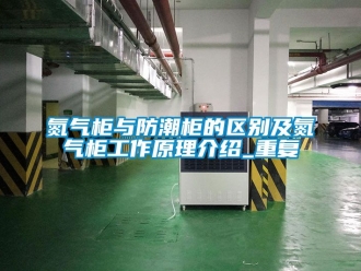 企业动态氮气柜与防潮柜的区别及氮气柜工作原理介绍_重复