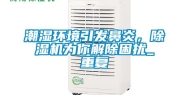 潮湿环境引发鼻炎，除湿机为你解除困扰_重复