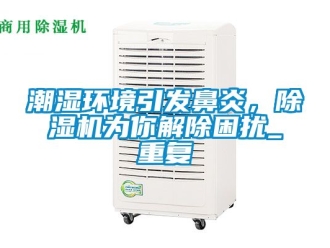 企业动态潮湿环境引发鼻炎，除湿机为你解除困扰_重复