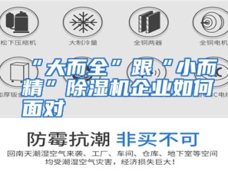 常见问题“大而全”跟“小而精”除湿机企业如何面对