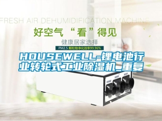 常见问题HOUSEWELL-锂电池行业转轮式工业除湿机_重复