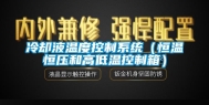 冷却液温度控制系统（恒温恒压和高低温控制箱）