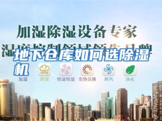 常见问题地下仓库如何选除湿机