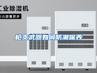 常见问题枪支武器如何防潮保养