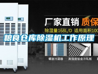企业动态粮食仓库除湿机工作原理