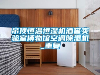 知识百科吊顶恒温恒湿机酒窖实验室博物馆空调除湿机_重复
