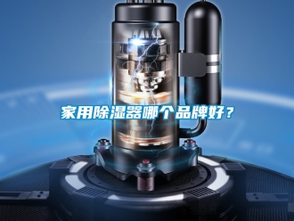 行业资讯家用除湿器哪个品牌好？